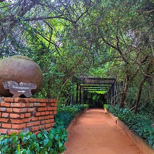 Pinthaliya Resort